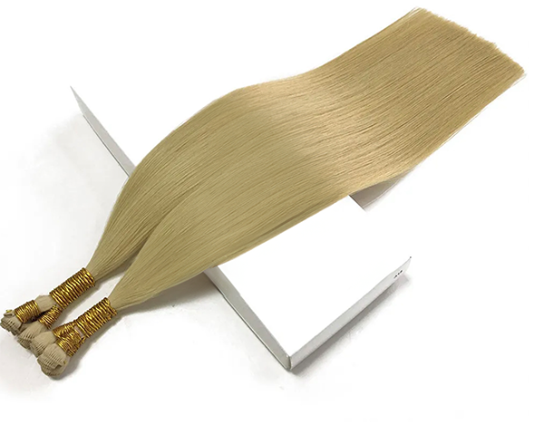 Tape-In Extensions – Classic – Butter Blonde #24